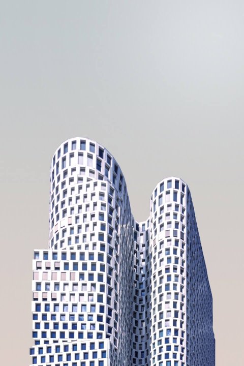 project-details1